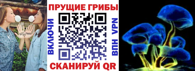 Галлюциногенные грибы Magic Shrooms  Братск 